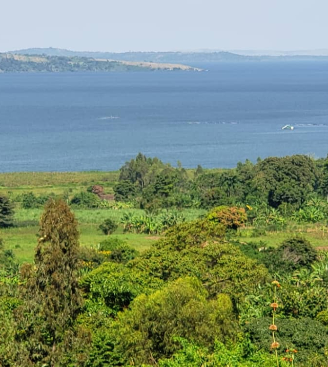 WhatsApp Image 2022-06-04 at 8.51.07 PM.jpeg